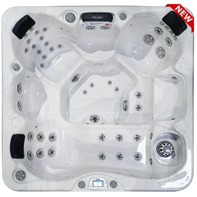 Avalon-X EC-849LX hot tubs for sale in Asheville