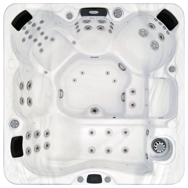 Avalon-X EC-867LX hot tubs for sale in Asheville