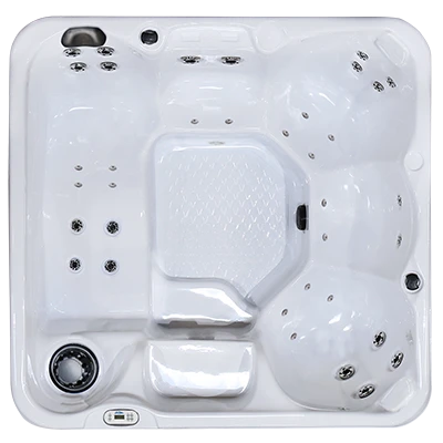 Hawaiian PZ-636L hot tubs for sale in Asheville